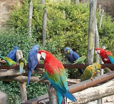 Maison Renovee En Tuffeau 勒皮圣母院