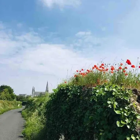 Maison Renovee En Tuffeau * 勒皮圣母院