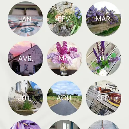 Maison Renovee En Tuffeau * 勒皮圣母院