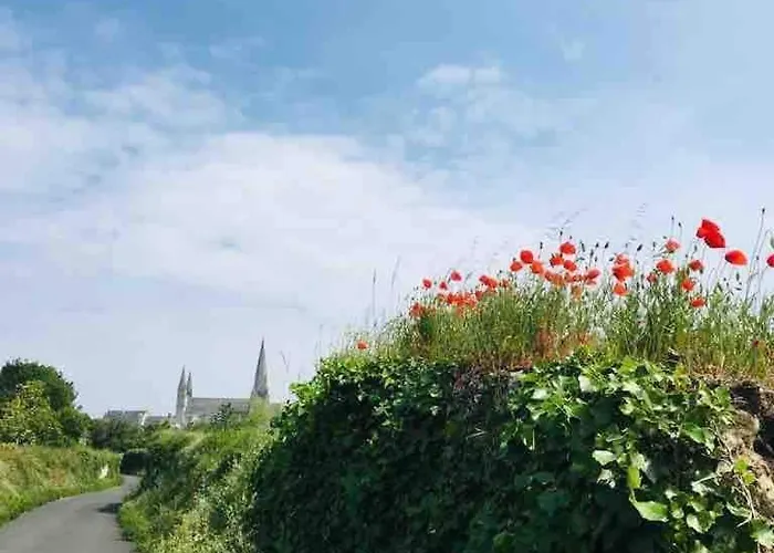 Maison Renovee En Tuffeau * Le Puy-Notre-Dame