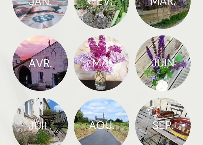 Maison Renovee En Tuffeau * Le Puy-Notre-Dame